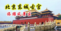 操美女穴的视频中国北京-东城古宫旅游风景区